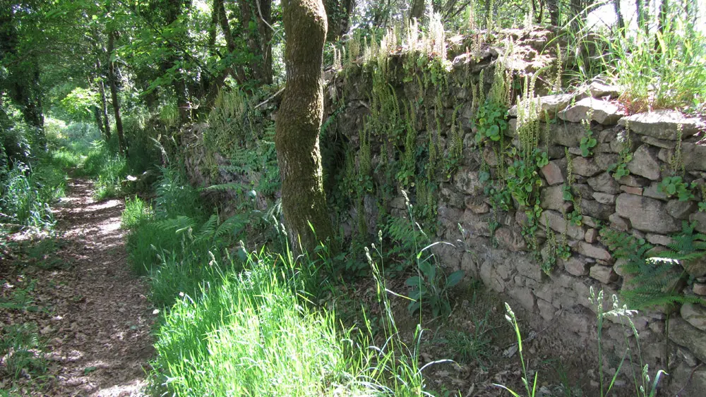 Photo-couverture_Site-de-l_i-sle©-DLRBT