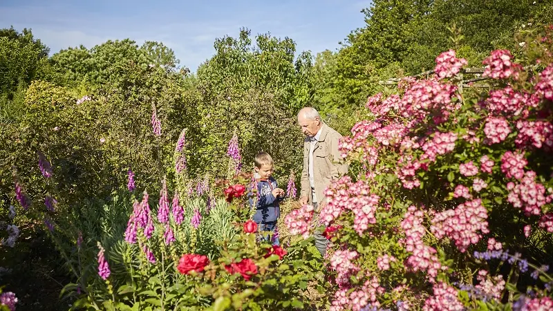 Plantes_Jardin de Keroguic Baud Vallée du Blavet©A. Lamoureux