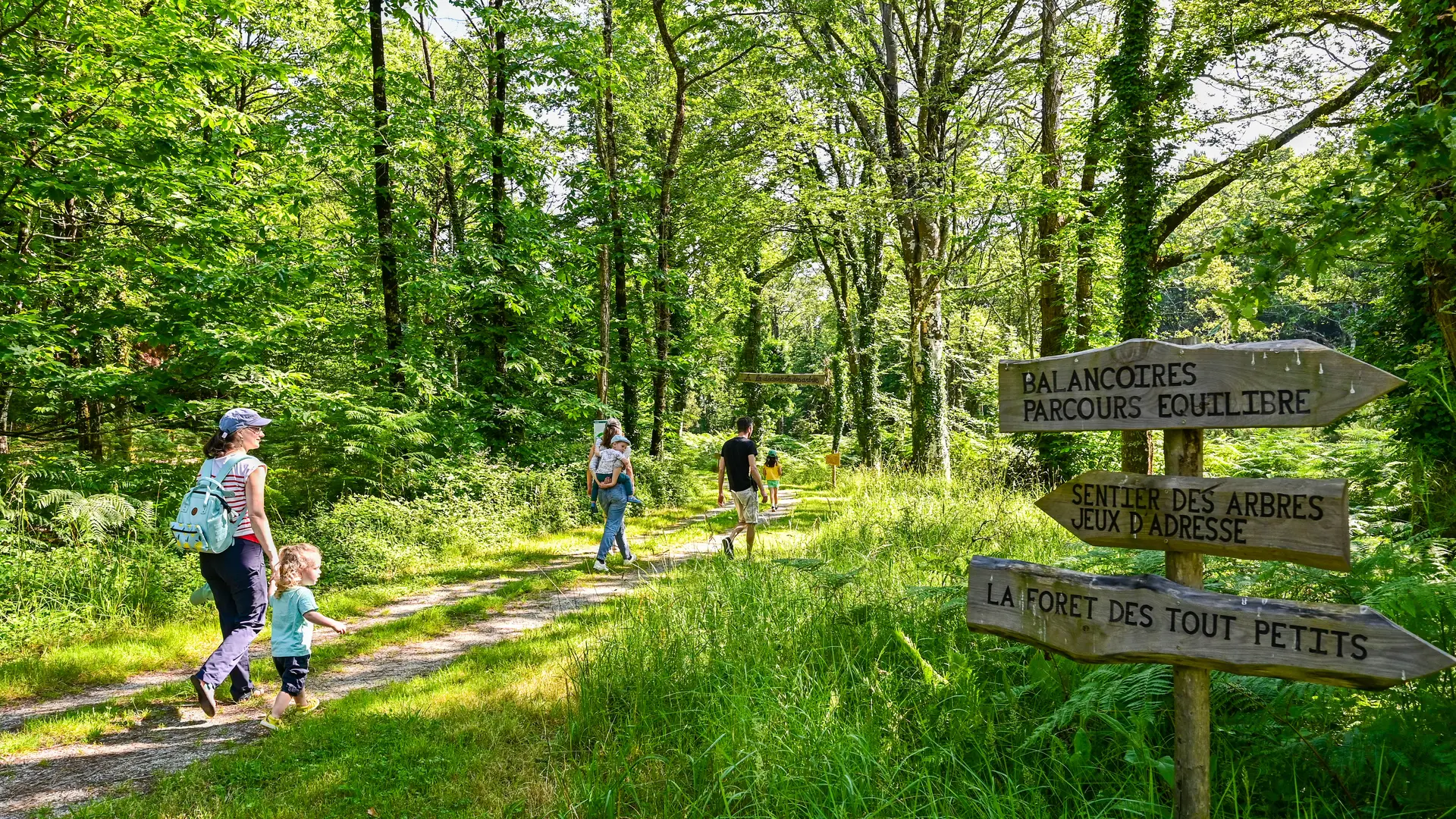 SENTIER DES ARBRES