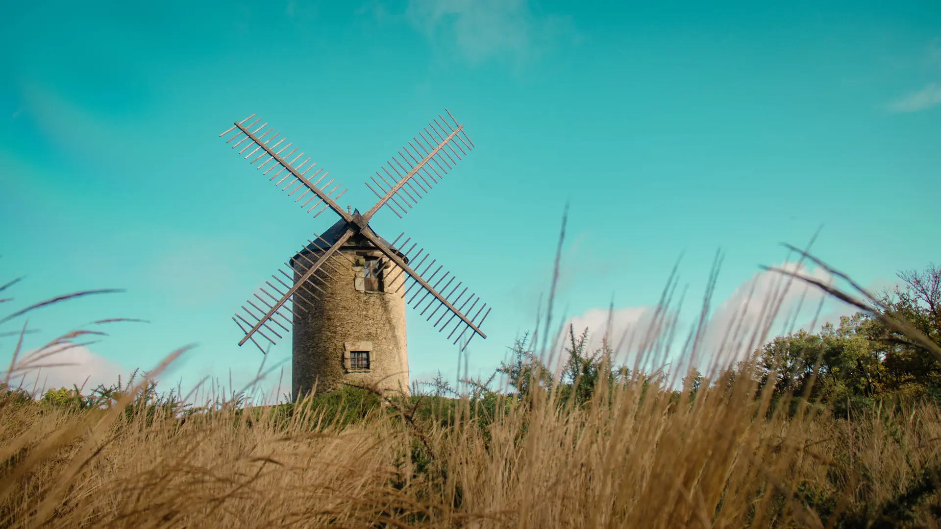 ST-JACUT-LES-PINS - La Butte Des Moulins_madoline bauthamy (4)