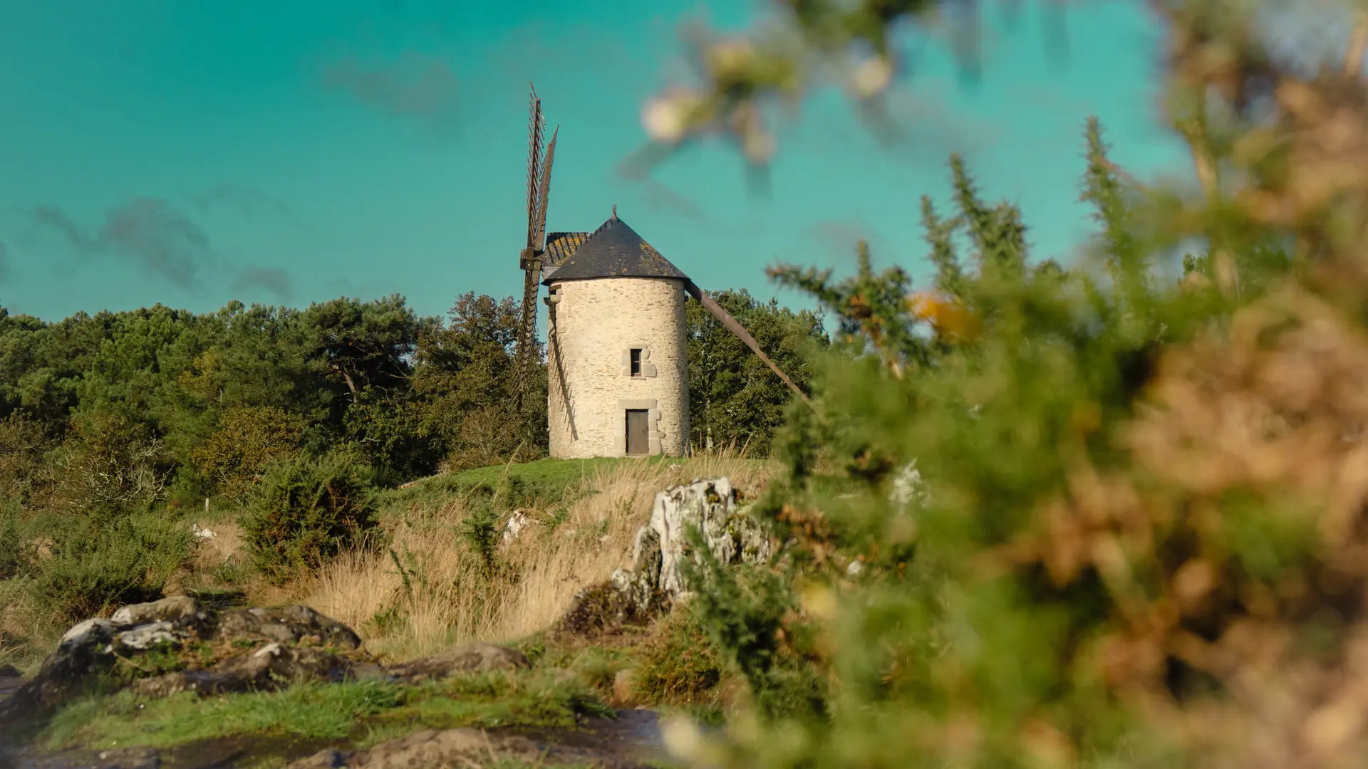 ST-JACUT-LES-PINS - La Butte Des Moulins_madoline bauthamy (54)