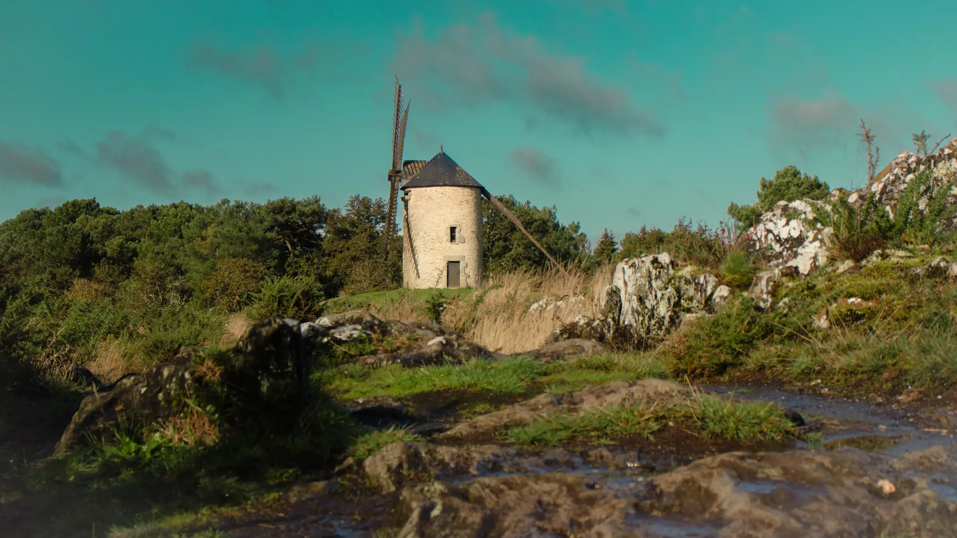 ST-JACUT-LES-PINS - La Butte Des Moulins_madoline bauthamy (55)