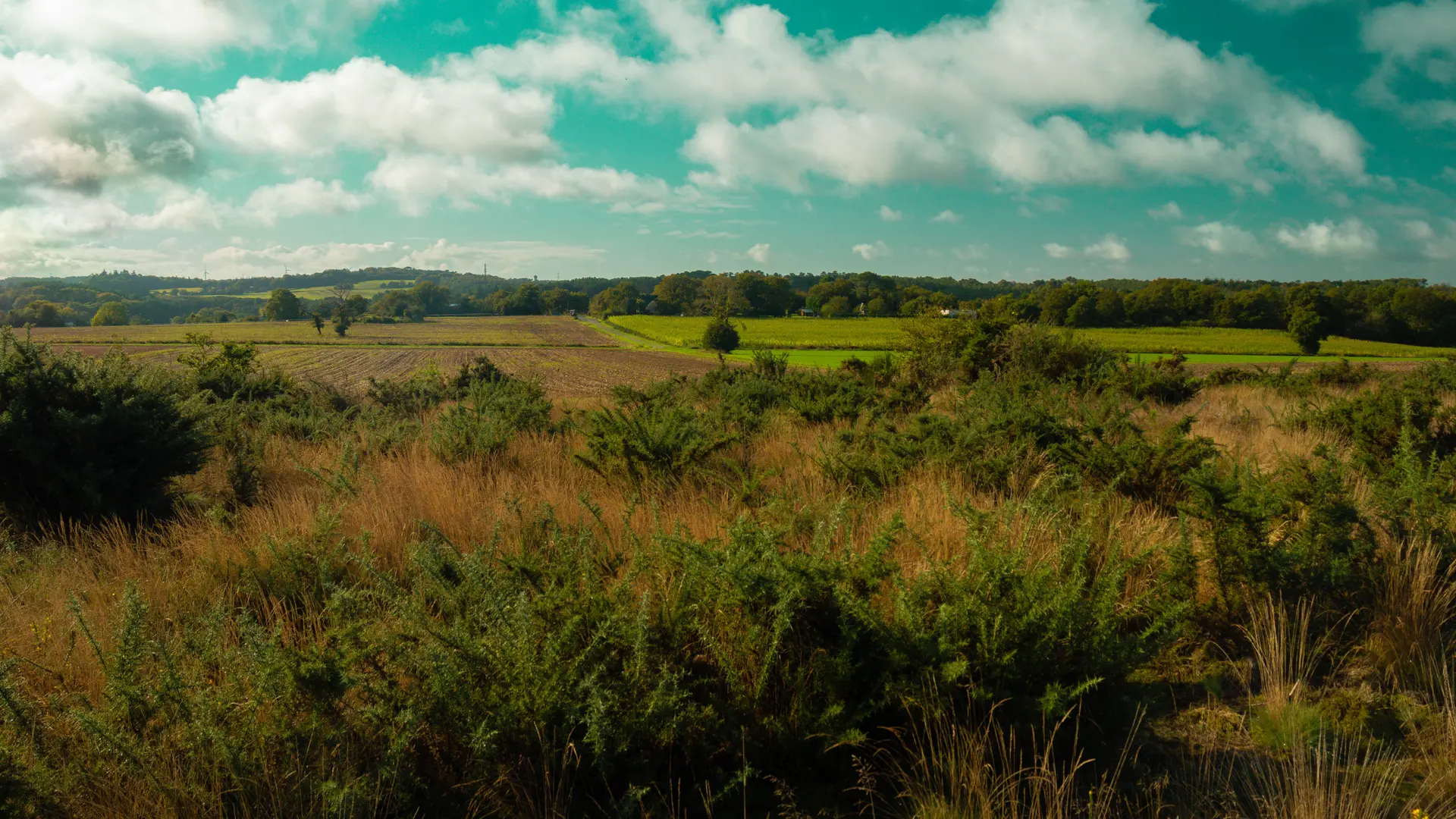 ST-JACUT-LES-PINS - La Butte Des Moulins_madoline bauthamy (59)