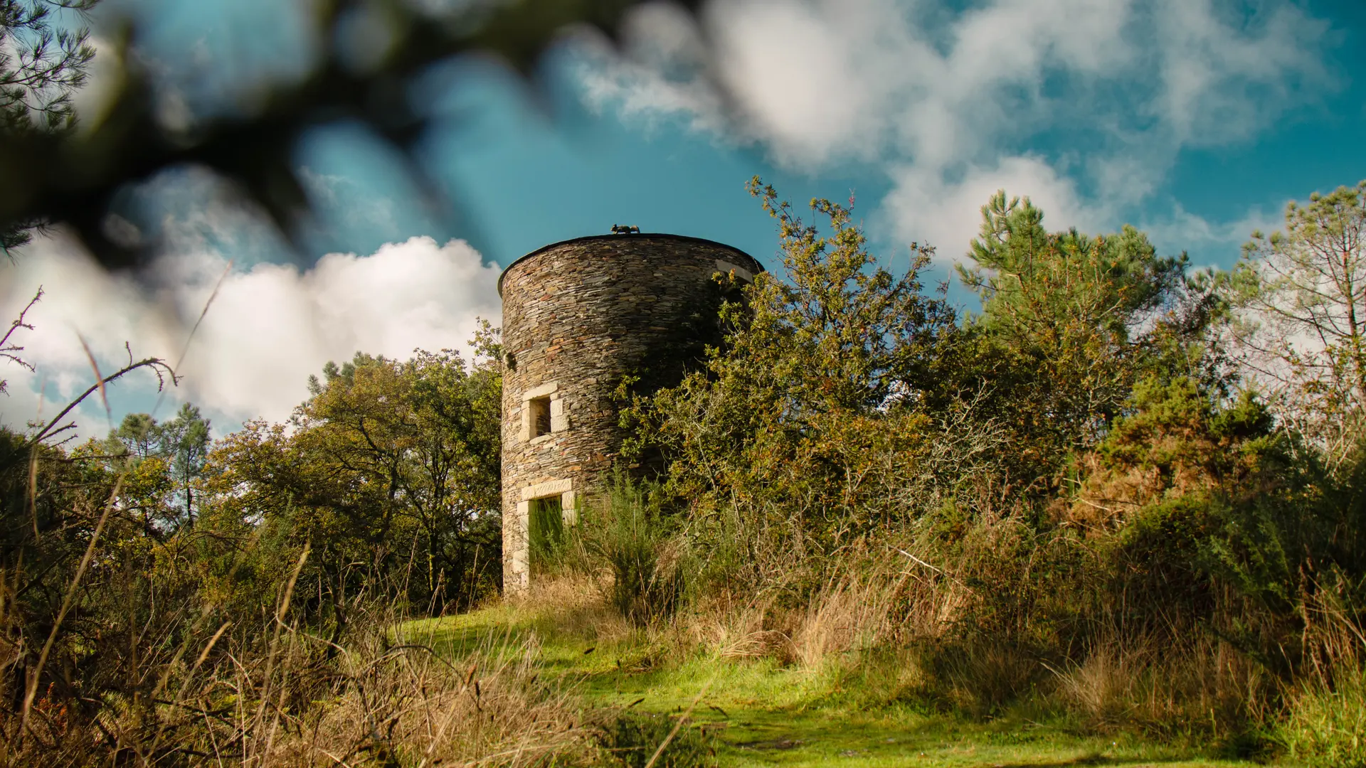 ST-JACUT-LES-PINS - La Butte Des Moulins_madoline bauthamy (13)