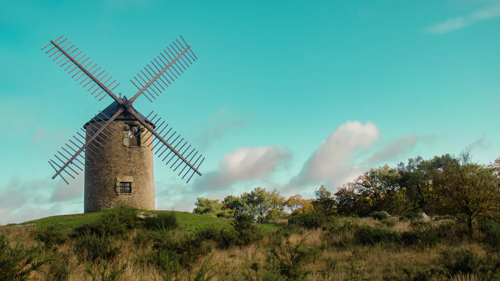 ST-JACUT-LES-PINS - La Butte Des Moulins_madoline bauthamy (3)