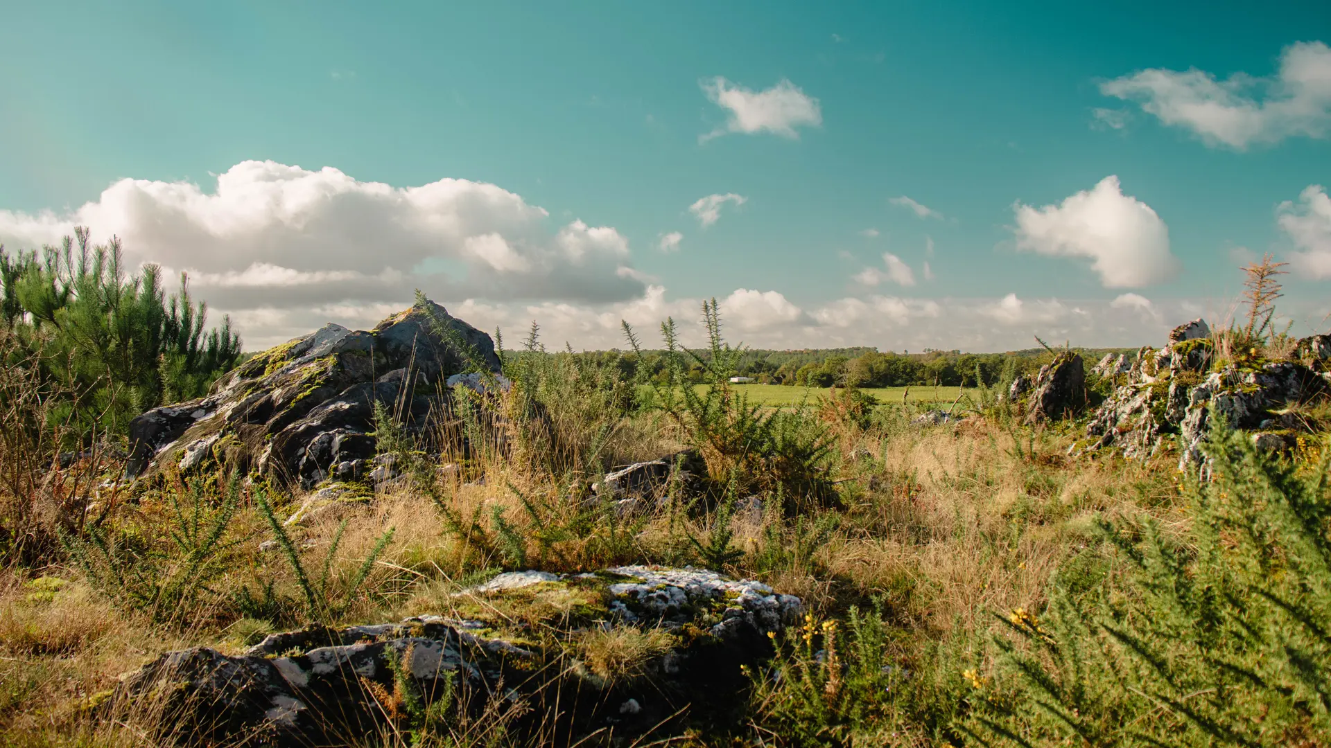 ST-JACUT-LES-PINS - La Butte Des Moulins_madoline bauthamy (35)