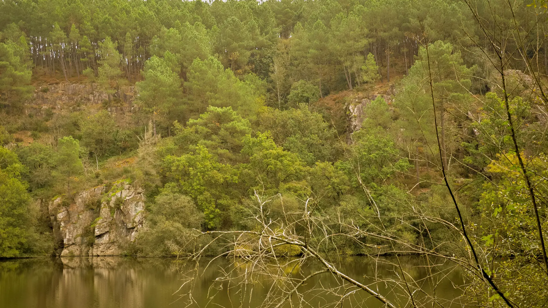 ST-VINCENT - L'Ile Aux Pies_morgane masson - 2