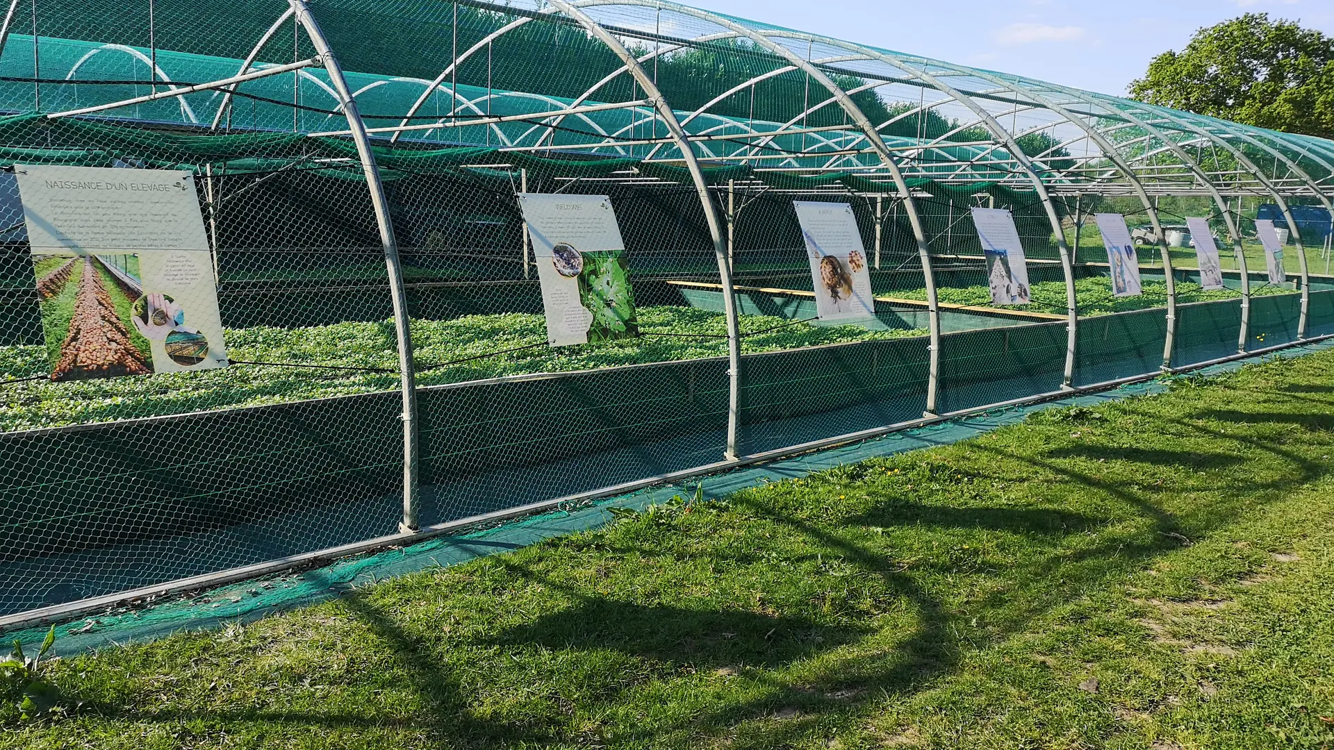 Sainte-Hélène-ParcEscargots