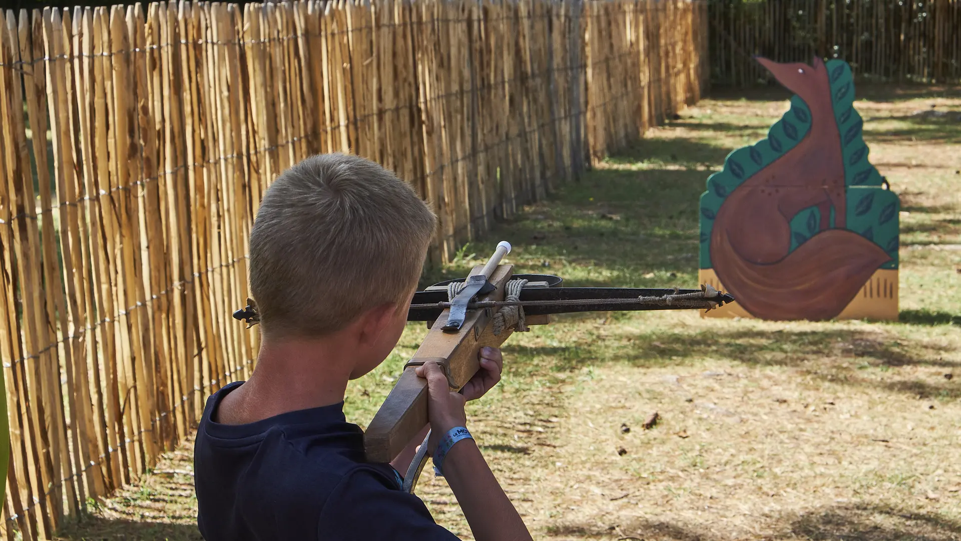 Sarzeau_DomainedeSuscinio_arbalète©Rabouan_5392