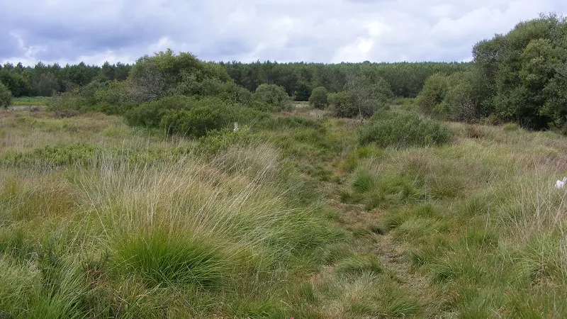 Sérent Tourbières de kerfontaine 3