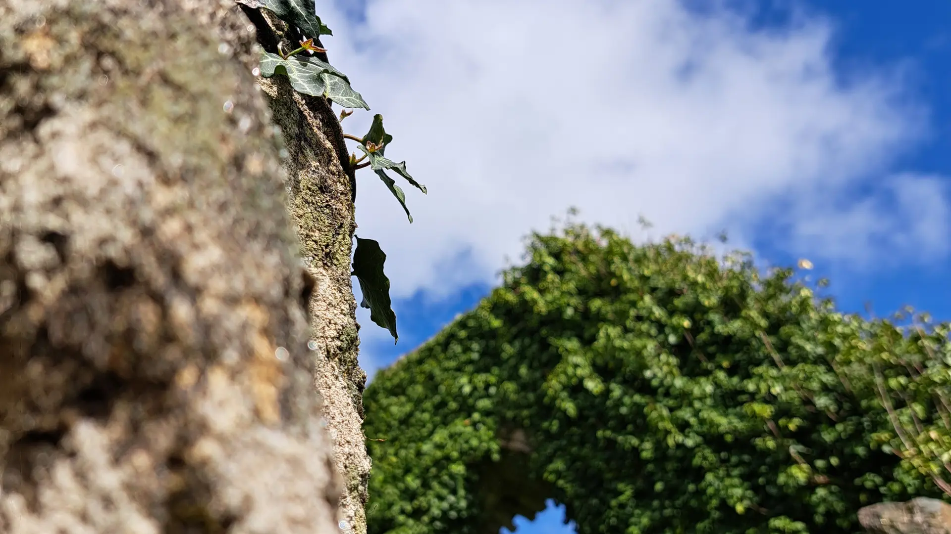 Site_des_Alliers_Béganne_2024-OTPR (21)