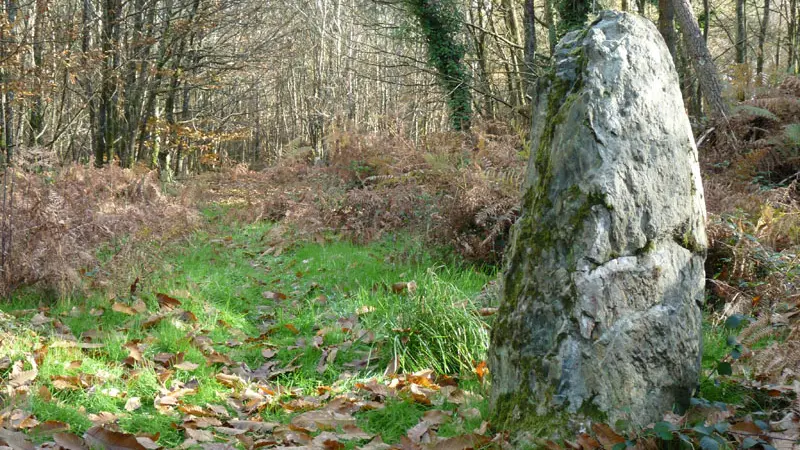 St Laurent menhir de Beaumont