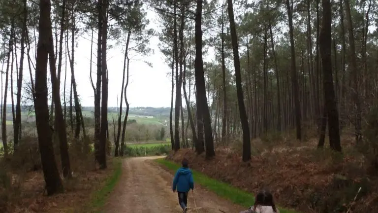 Vue sur La Vallée du Bled-Parc éolien Béganne