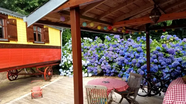 Terrasse semi-ombragée équipée d'une plancha.