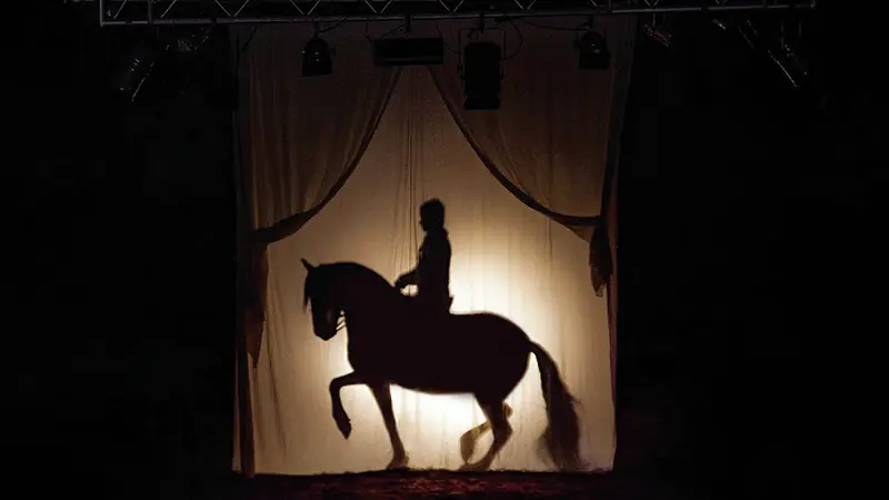 Théâtre équestre de Bretagne, La Gacilly, Destination Brocéliande, Bretagne