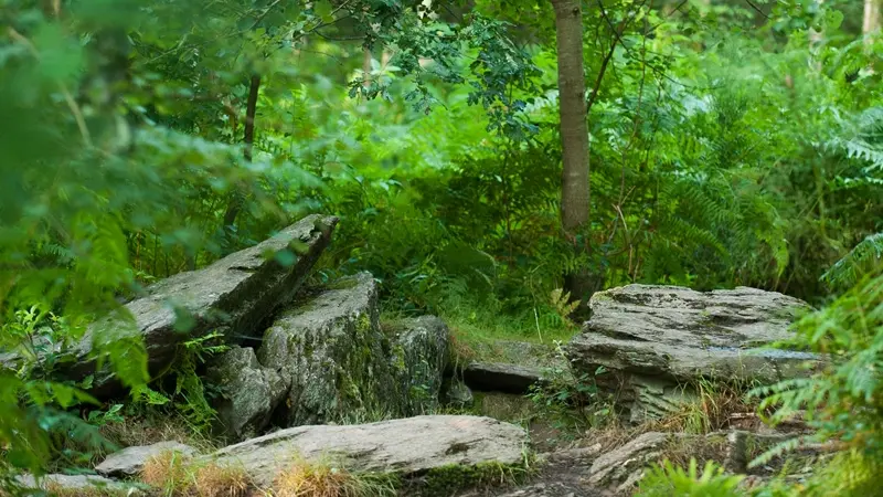 Tombeau du Géant - Campénéac - Brocéliande - Bretagne