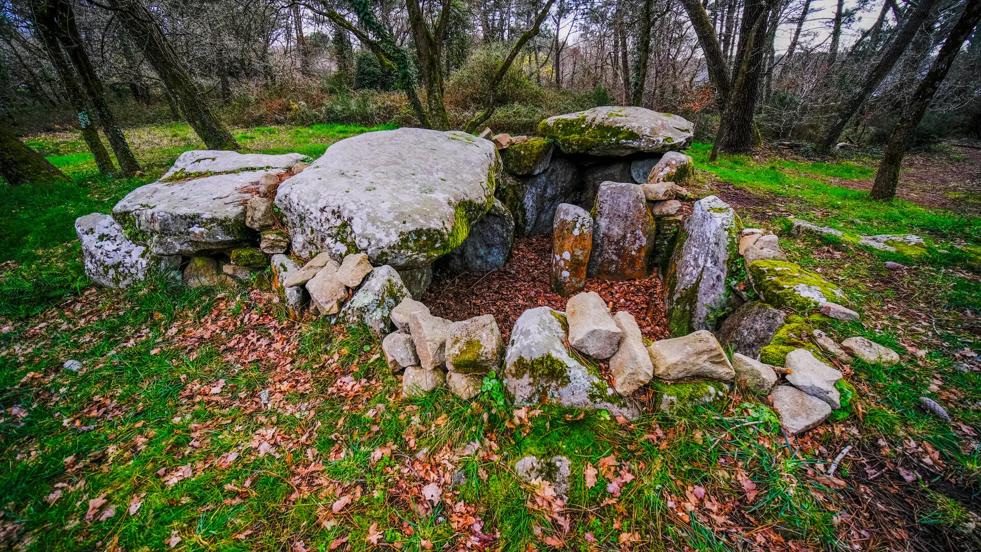 Tumulus Kermarquer - Zulaan - André Polkowski 2022 - 002.jpg_compressed