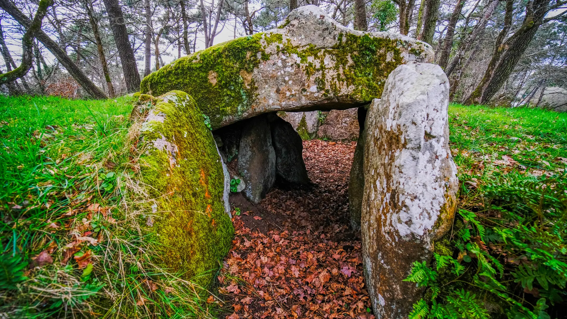 Tumulus Kermarquer - Zulaan - André Polkowski 2022 - 003.jpg_compressed