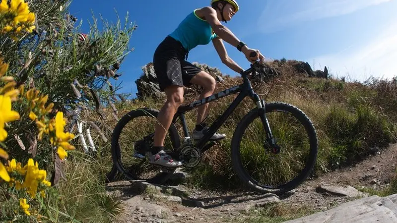 Brocéliande à vélo