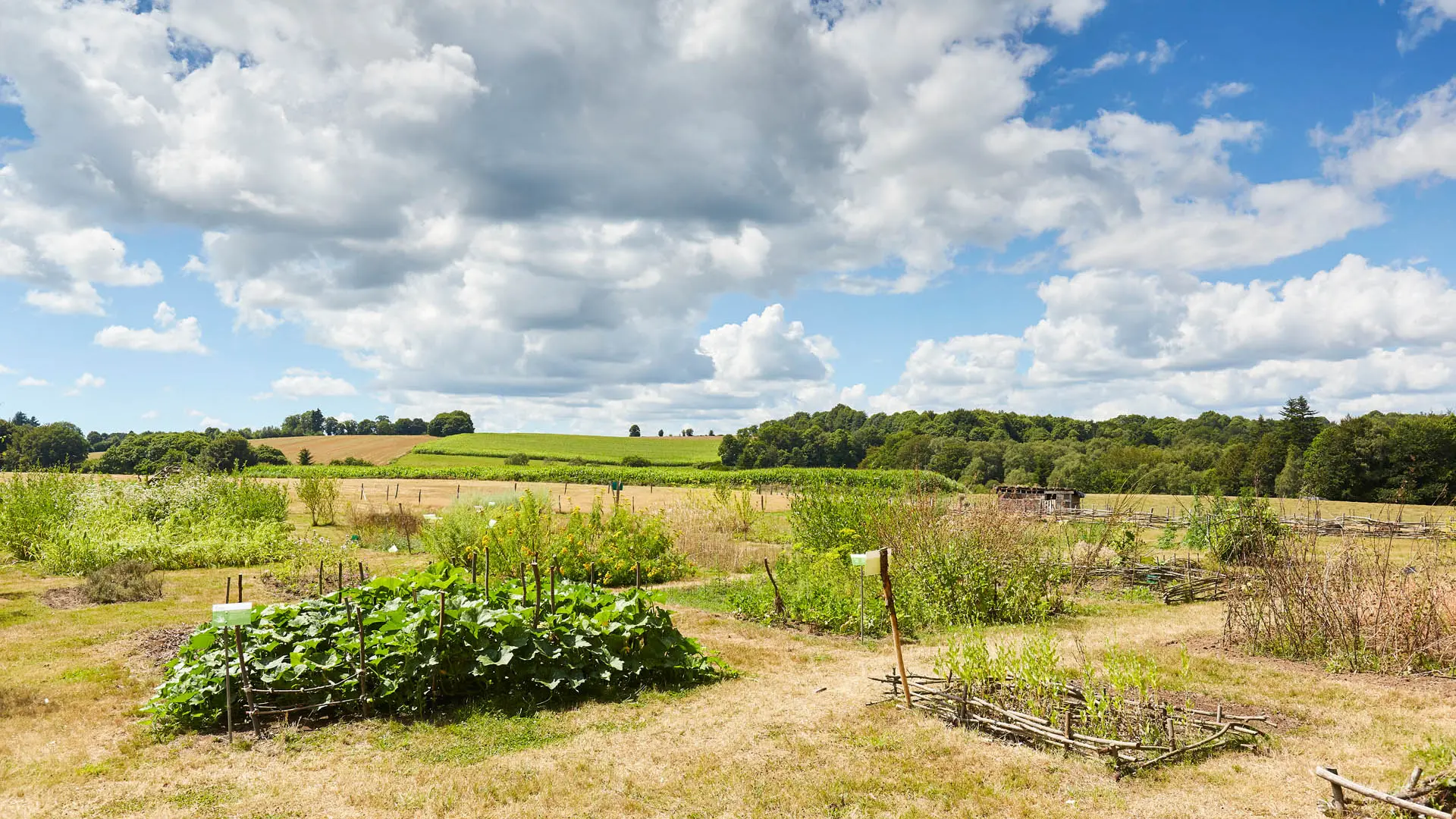 Village de l'an mil Melrand Vallée du Blavet archéologie©A. Lamoureux (1)