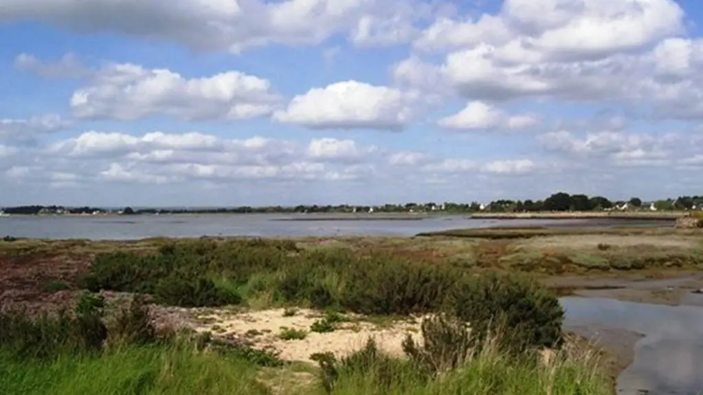 Marais de Lasné St Armel Morbihan Bretagne Sud