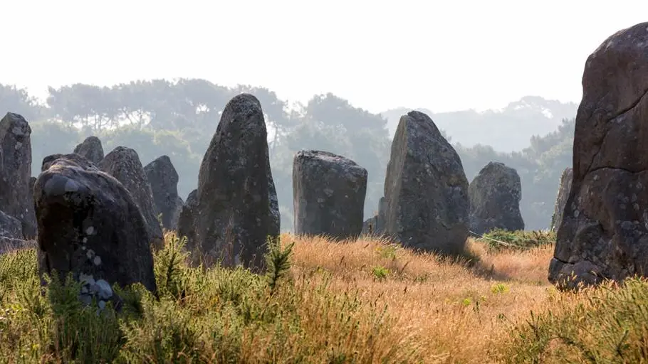 Alignements-Carnac-Kermario-Morbihan-Bretagne-Sud