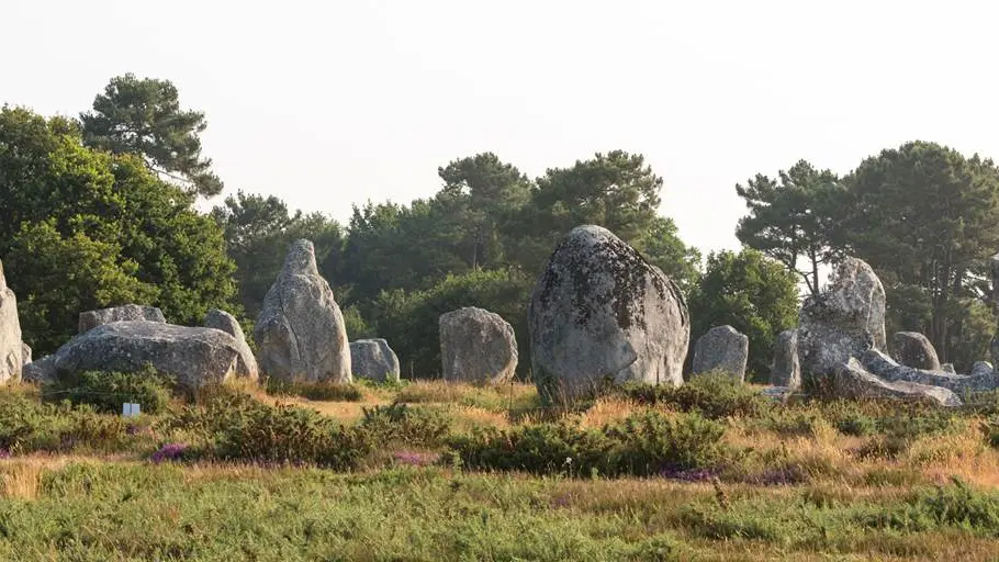 Alignements-Carnac-Kermario-Morbihan-Bretagne-Sud