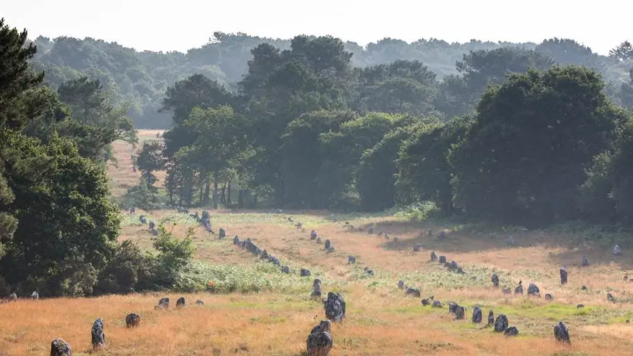 Alignements-Carnac-Kermario-Morbihan-Bretagne-Sud