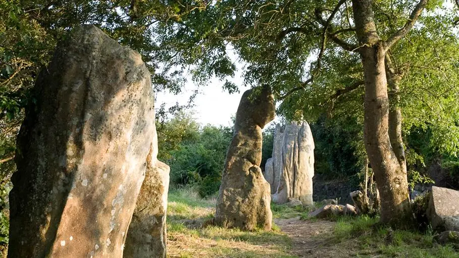 Alignements-Kerzerho-Erdeven-Morbihan-Bretagne-Sud