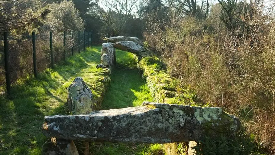 Allée couverte de Mané Roullarde La Trinité sur Mer - Morbihan Bretagne sud (3)