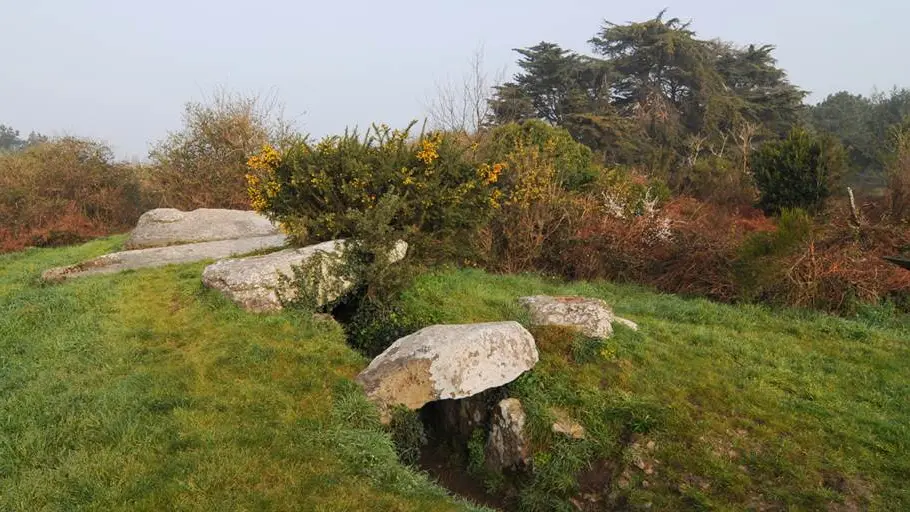 Allée couverte du Grah Niol Arzon (1) - Morbihan Bretagne Sud