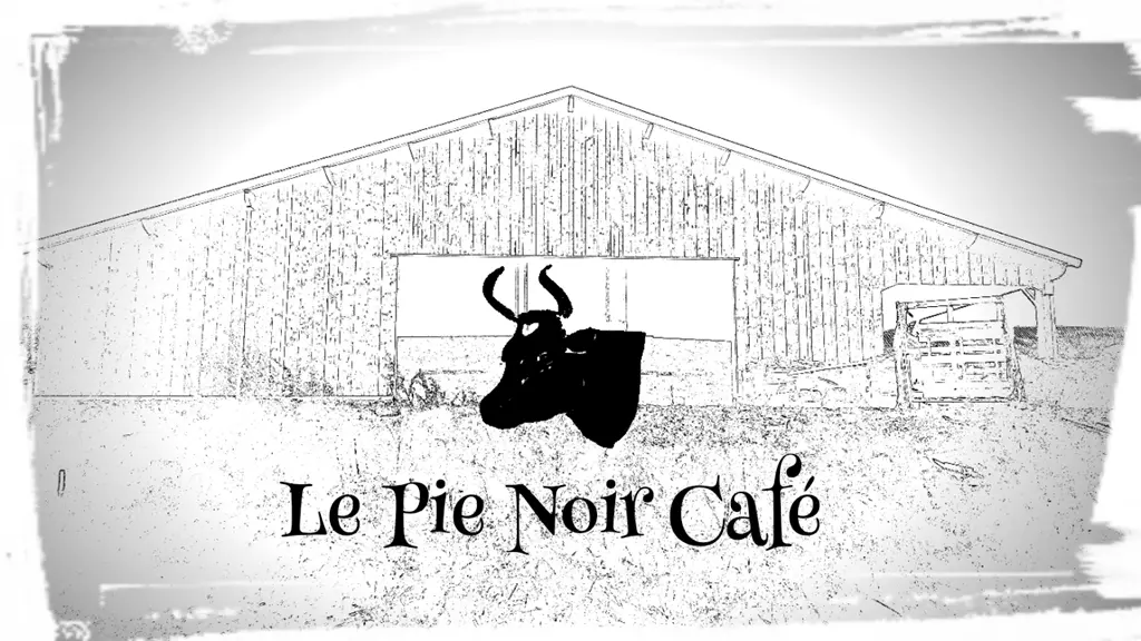 Le-Pie-Noir-Café-Suscinio-Sarzeau-Presqu'île-de-Rhuys-Golfe-du-Morbihan-Bretagne sud