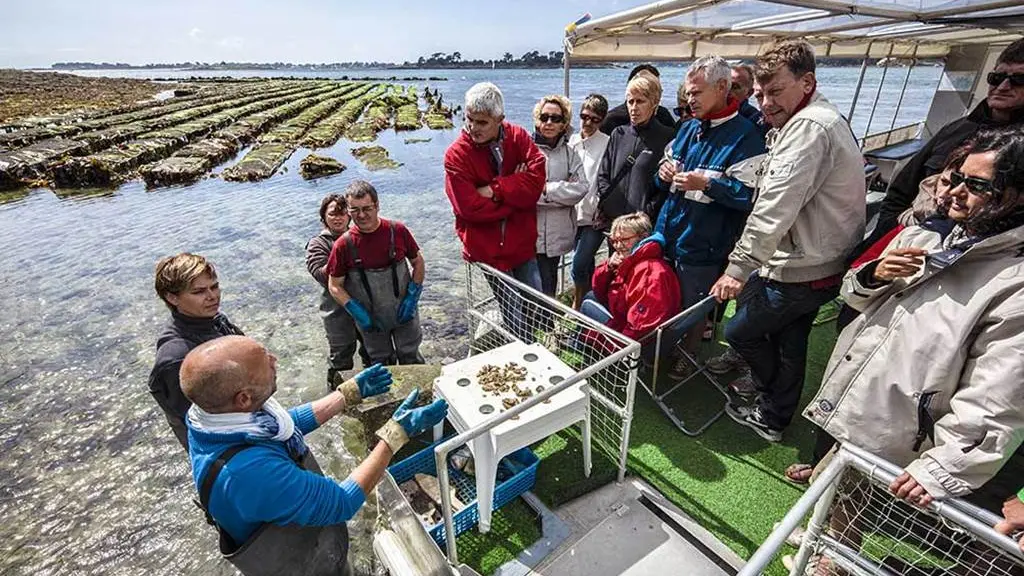 La-Cabane-à-Huîtres-Baden-Golfe-du-Morbihan-Bretagne sud