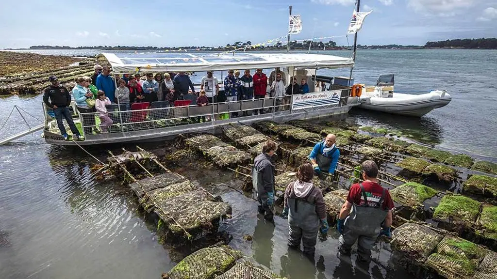 La-Cabane-à-Huîtres-Baden-Golfe-du-Morbihan-Bretagne sud