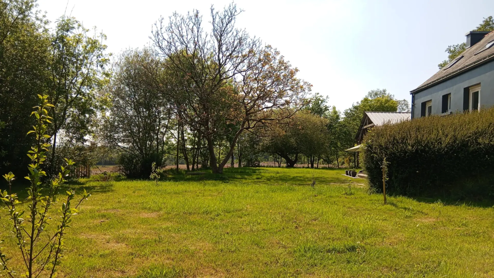 b3c49016-4197-4bd1-bb11-b5091170b7b2