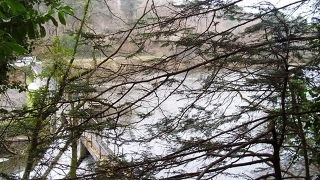 Bois de Pont Sal Plougoumelen Morbihan Bretagne Sud