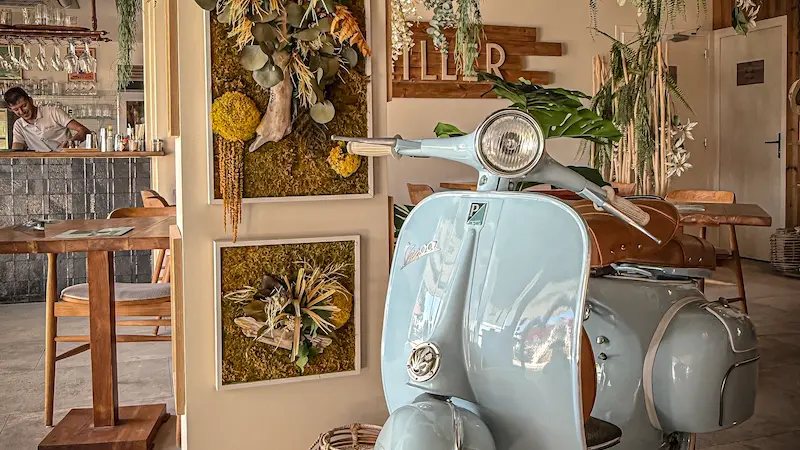 baiedequiberon_242342462648357_6416947281998797995_Carnac_Canopee5_1015