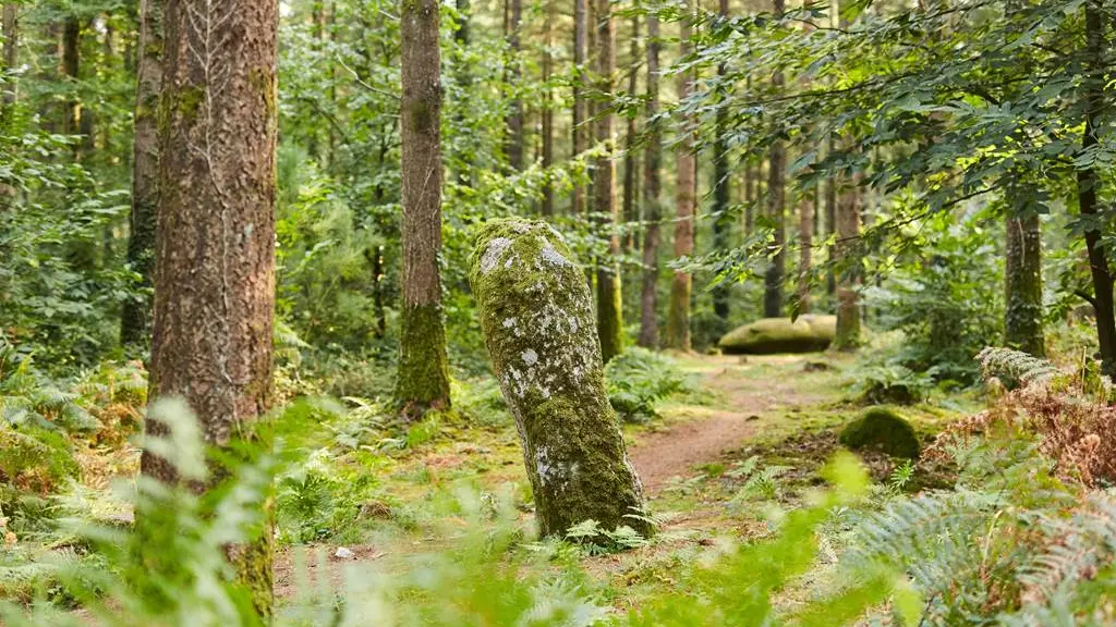 randonnée-camors-morbihan-bretagnesud