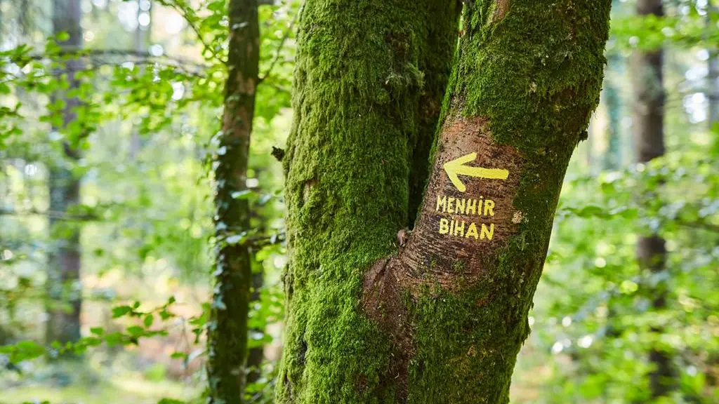 randonnée-camors-morbihan-bretagnesud