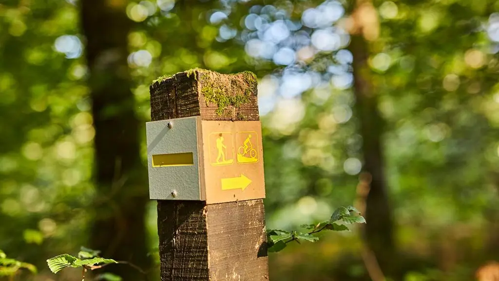 Randonnée-pluvigner-morbihan-bretagne-sud