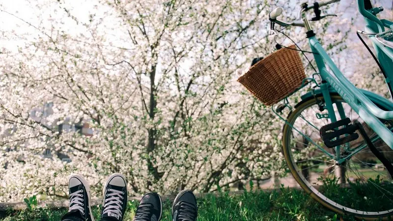 bicycle-1840922-1920