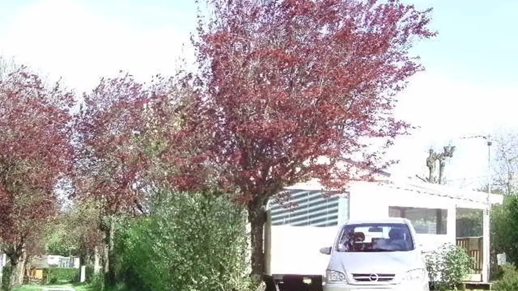 Camping-de-la-Guérandière-Billiers