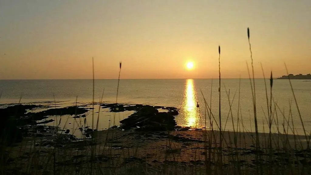 Le littoral à découvrir