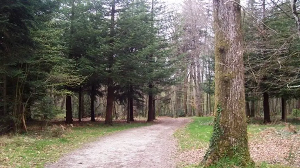 Bois de Pont Sal Plougoumelen Morbihan Bretagne Sud