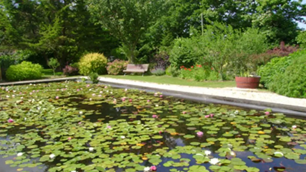 Jardin-du-Prahor-Arzal-Morbihan-Bretagne-Sud