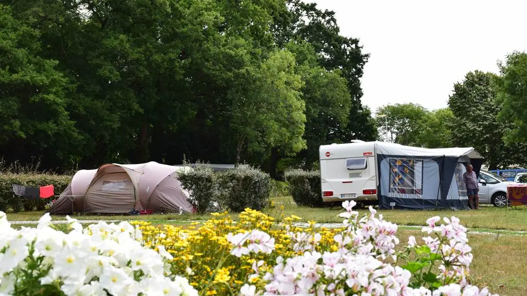 Emplacement arboré et ombragé