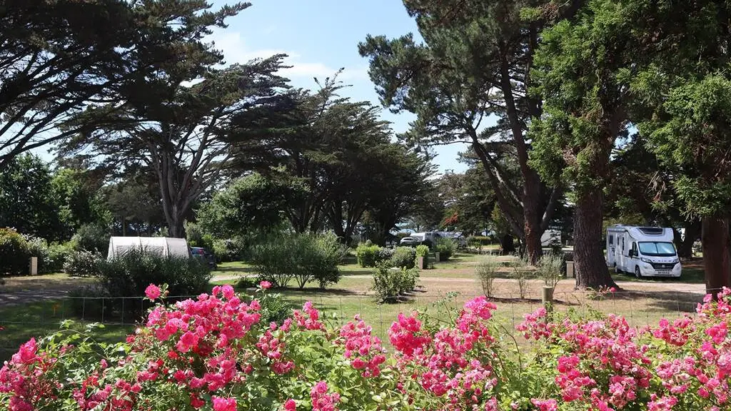 Un camping fleuri au bord du Golfe du Morbihan