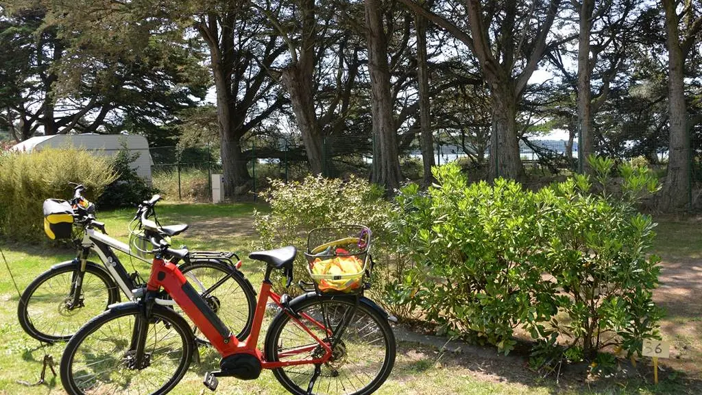 Découvrir le Golfe du Morbihan à vélo à partir du camping ker Eden