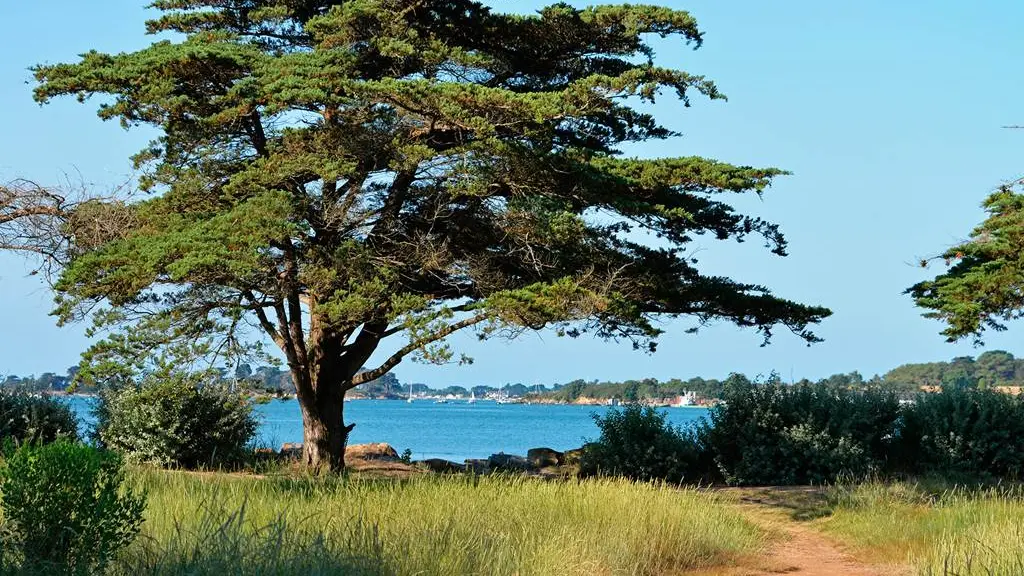 Accès direct à la plage par un court sentier