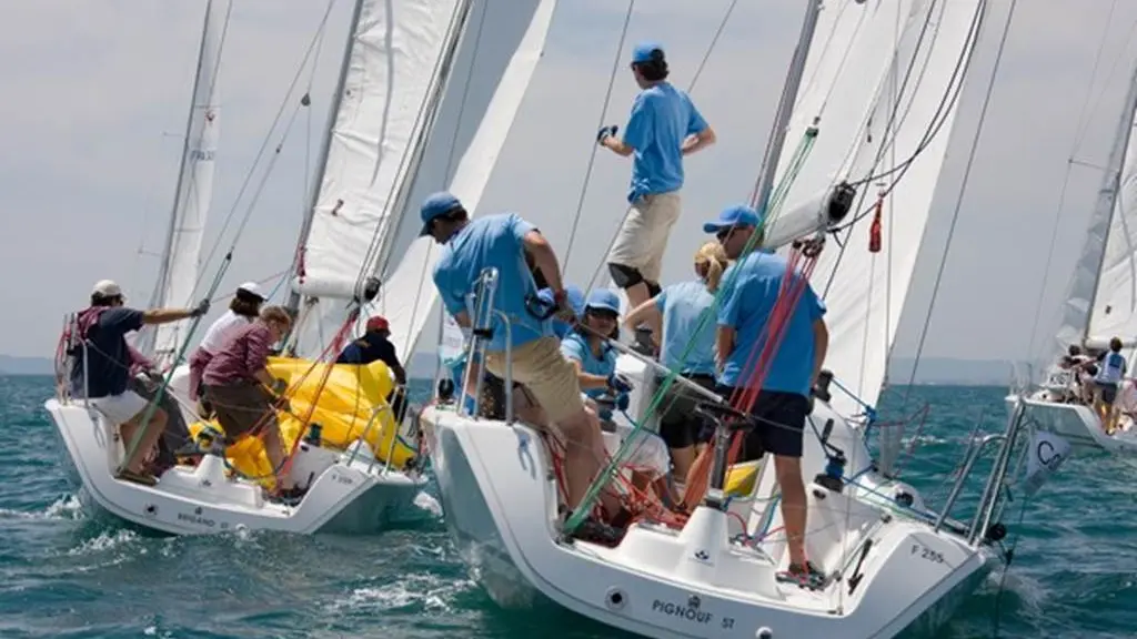 Régate d'entreprise avec Team Winds